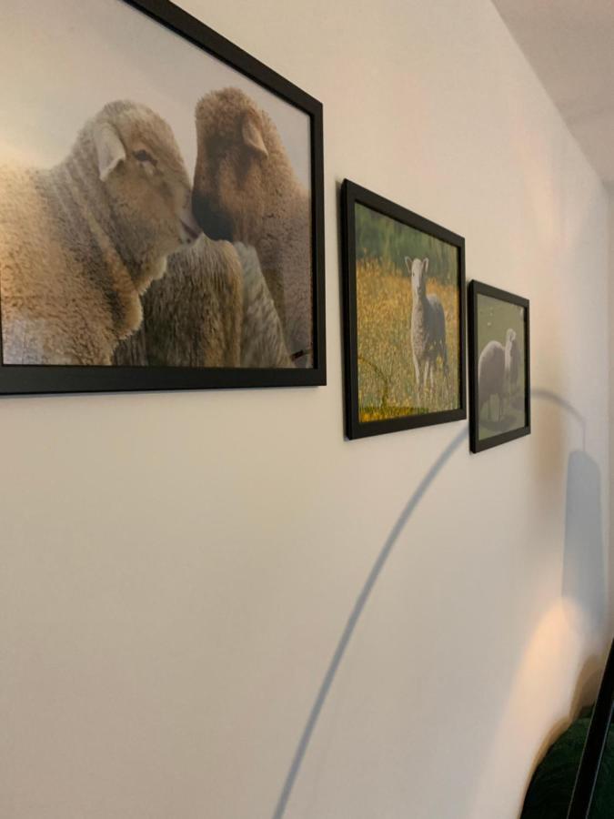 Noclegi Little Sheep Chojna Εξωτερικό φωτογραφία